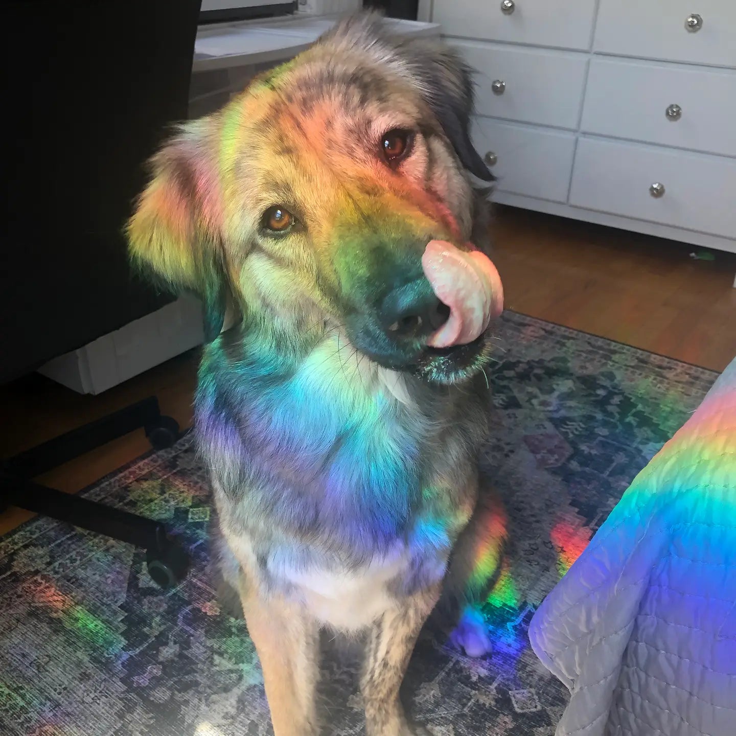 Good Luck Horseshoe Rainbow Maker