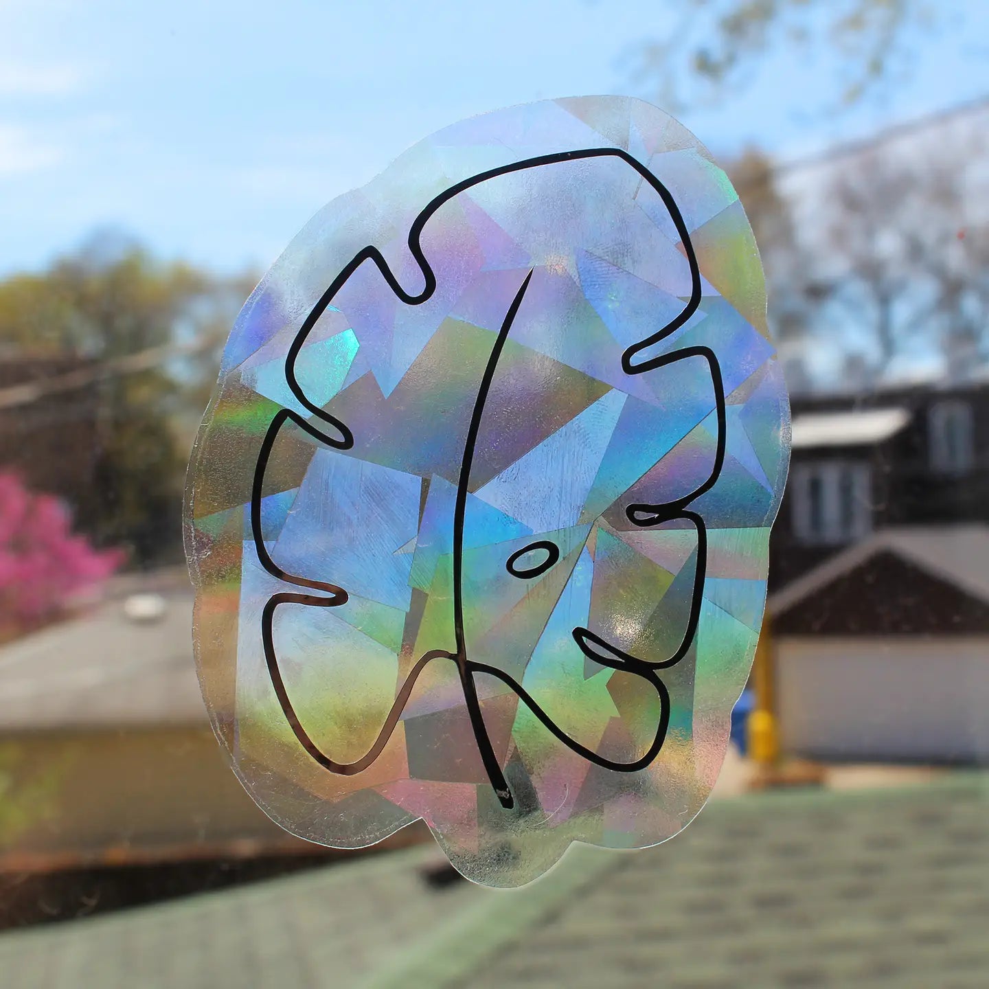 Monstera Leaf Rainbow Maker