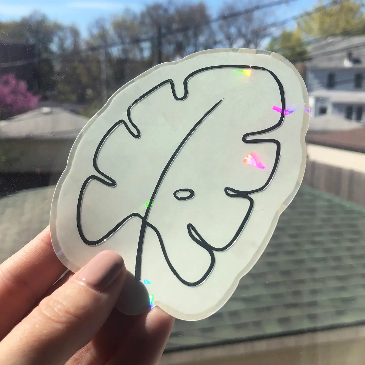 Monstera Leaf Rainbow Maker