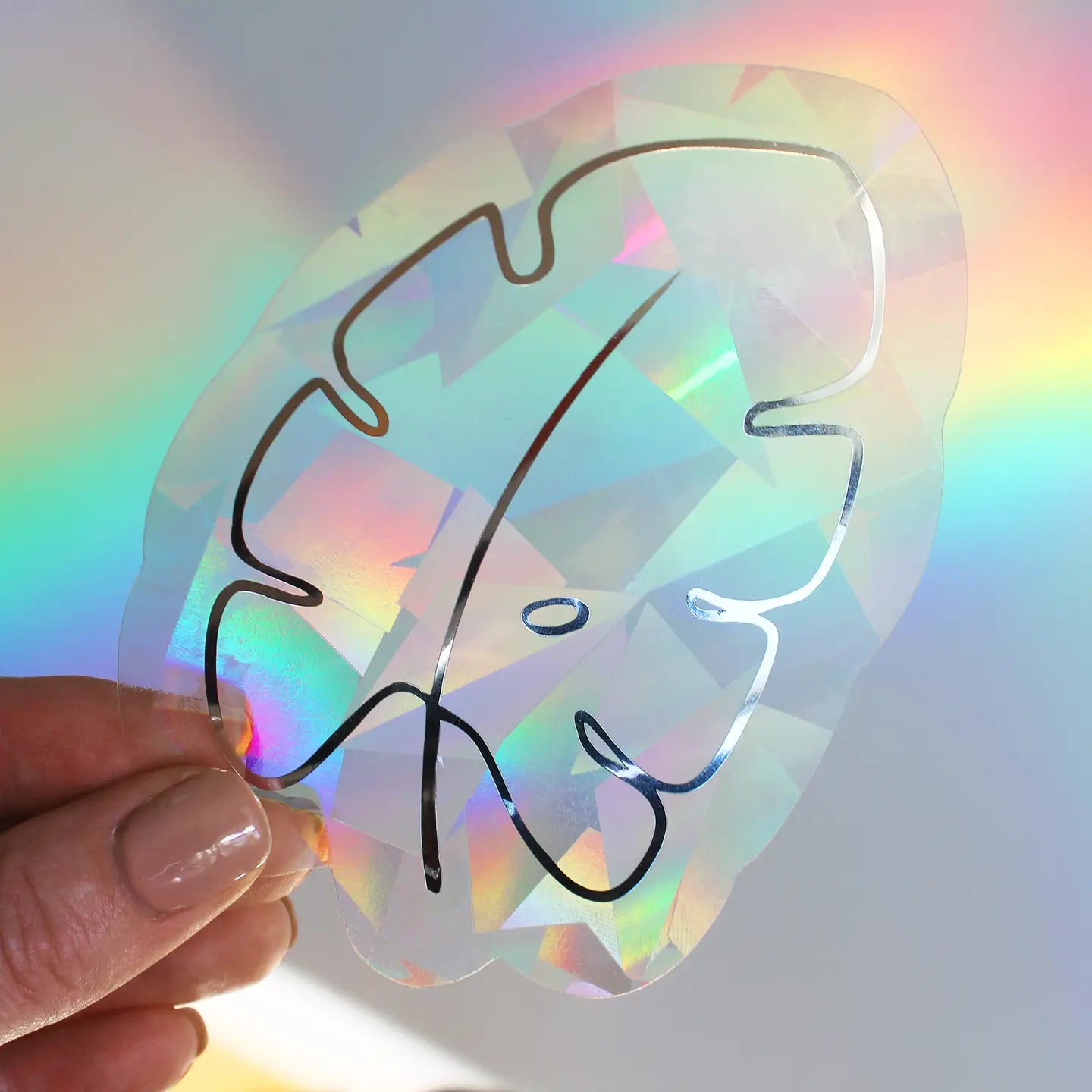 Monstera Leaf Rainbow Maker