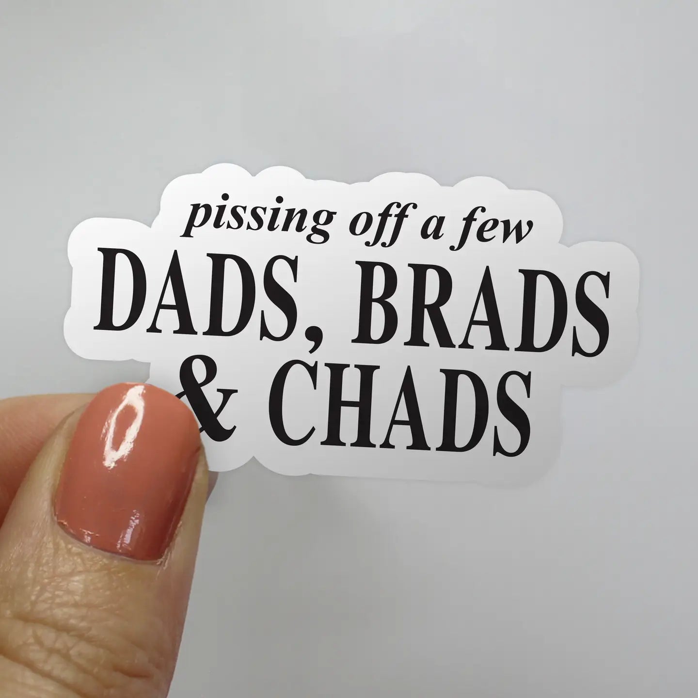 Pissing off a few Dads, Brads & Chads Taylor Swift Sticker