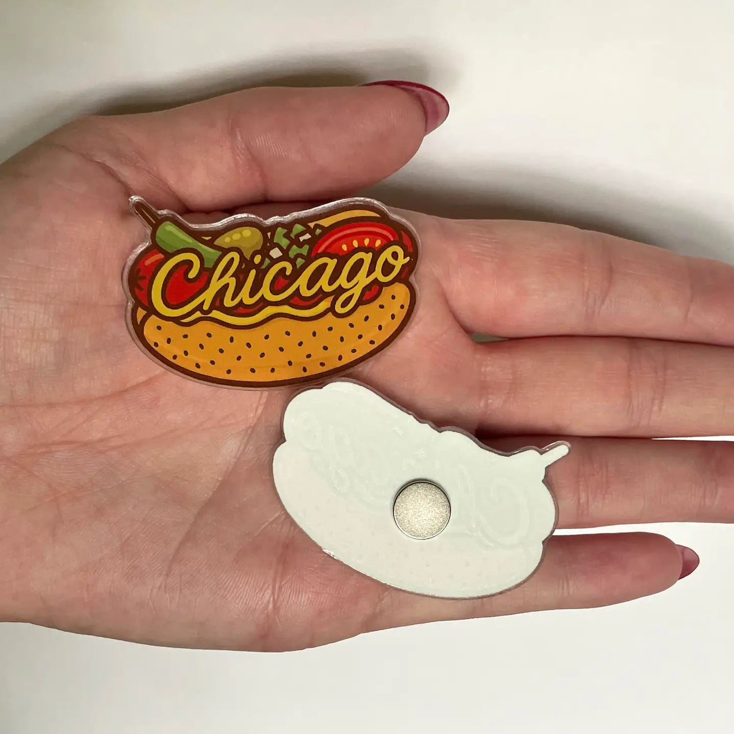 Chicago Style Hot Dog Magnet